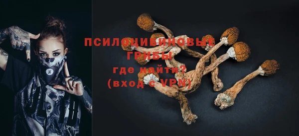 mix Белокуриха