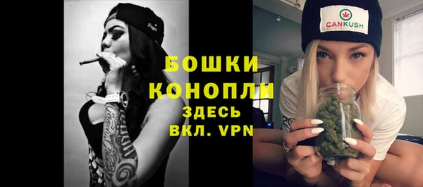 молекула духа Белоозёрский