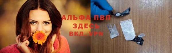 молекула духа Белоозёрский