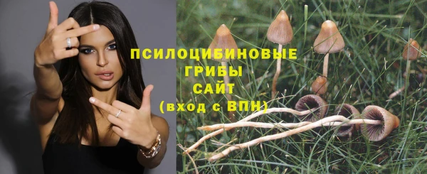 молекула духа Белоозёрский