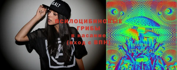 молекула духа Белоозёрский